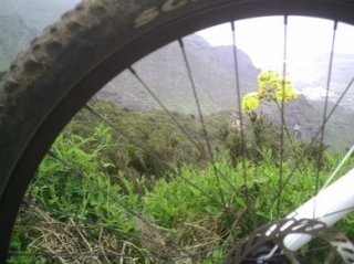 Naturaleza y ciclismo